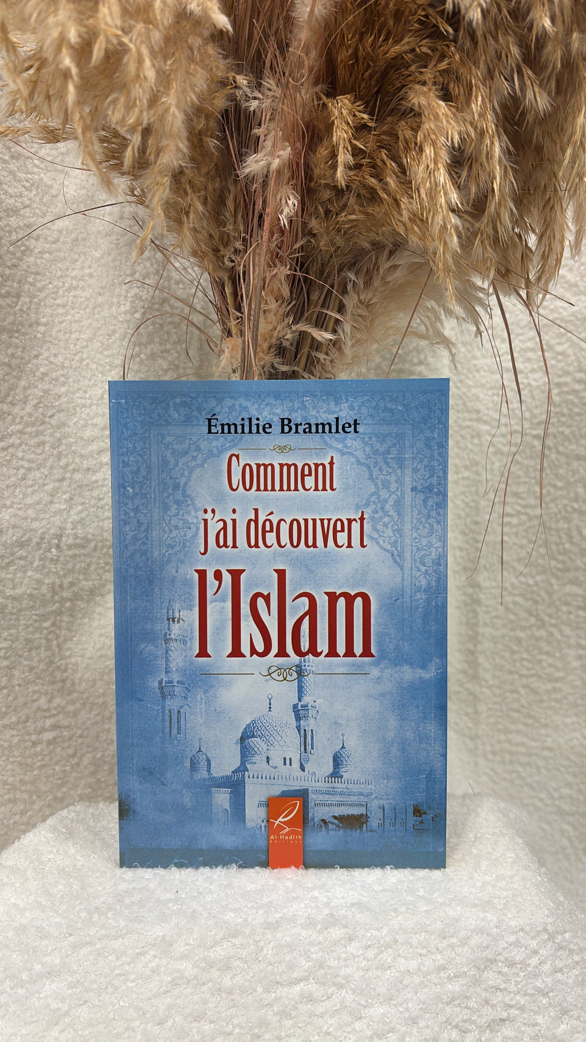 Comment j'ai découvert l'islam - Emilie Bramlet -Editions al-Hadith