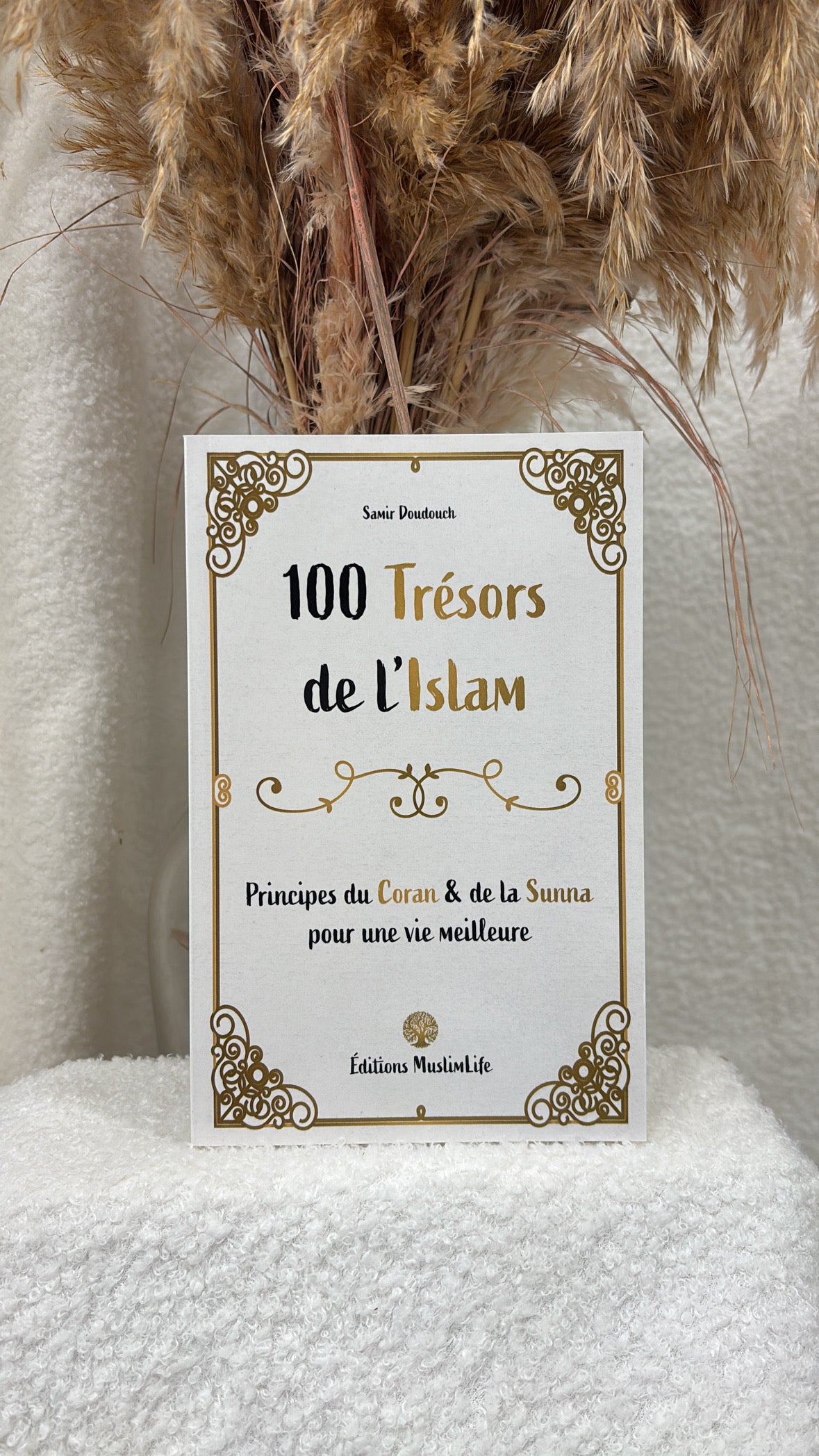 100 Trésors de l’Islam  Auteur : Samir Doudouch Éditions MuslimLife