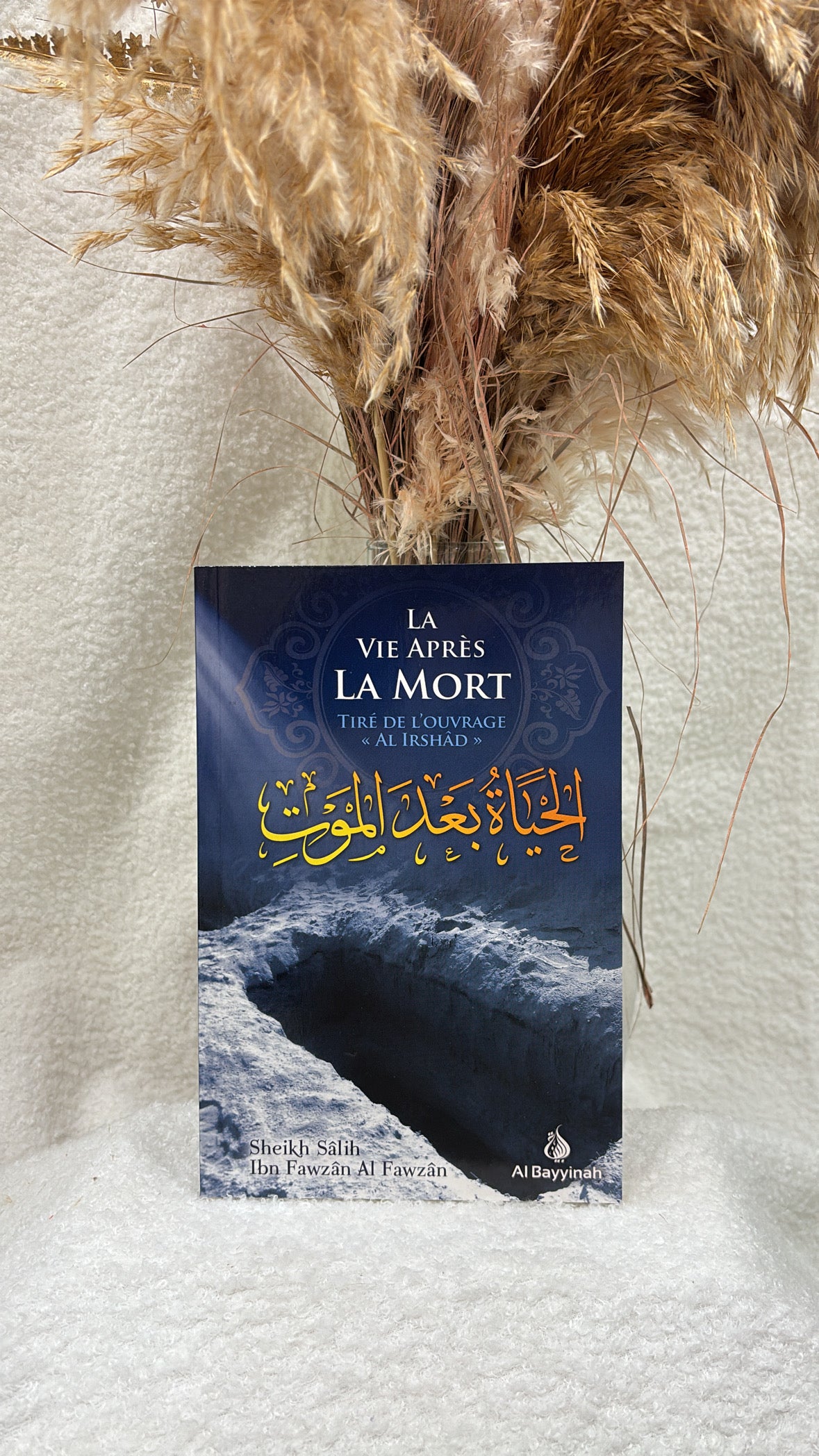 La vie après la mort (Tiré d'Al-Irshad) - Shaykh Al-Fawzân - Al Bayyinah