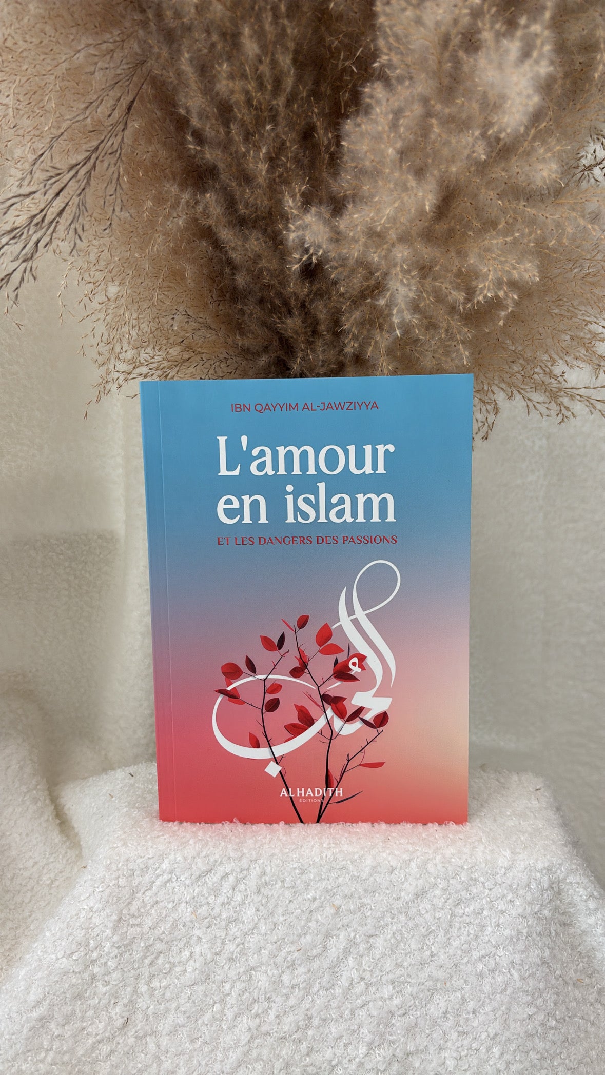 L'amour en islam et les dangers des passions - IBN QAYYIM AL-JAWZIYYA - Editions Al-Hadîth