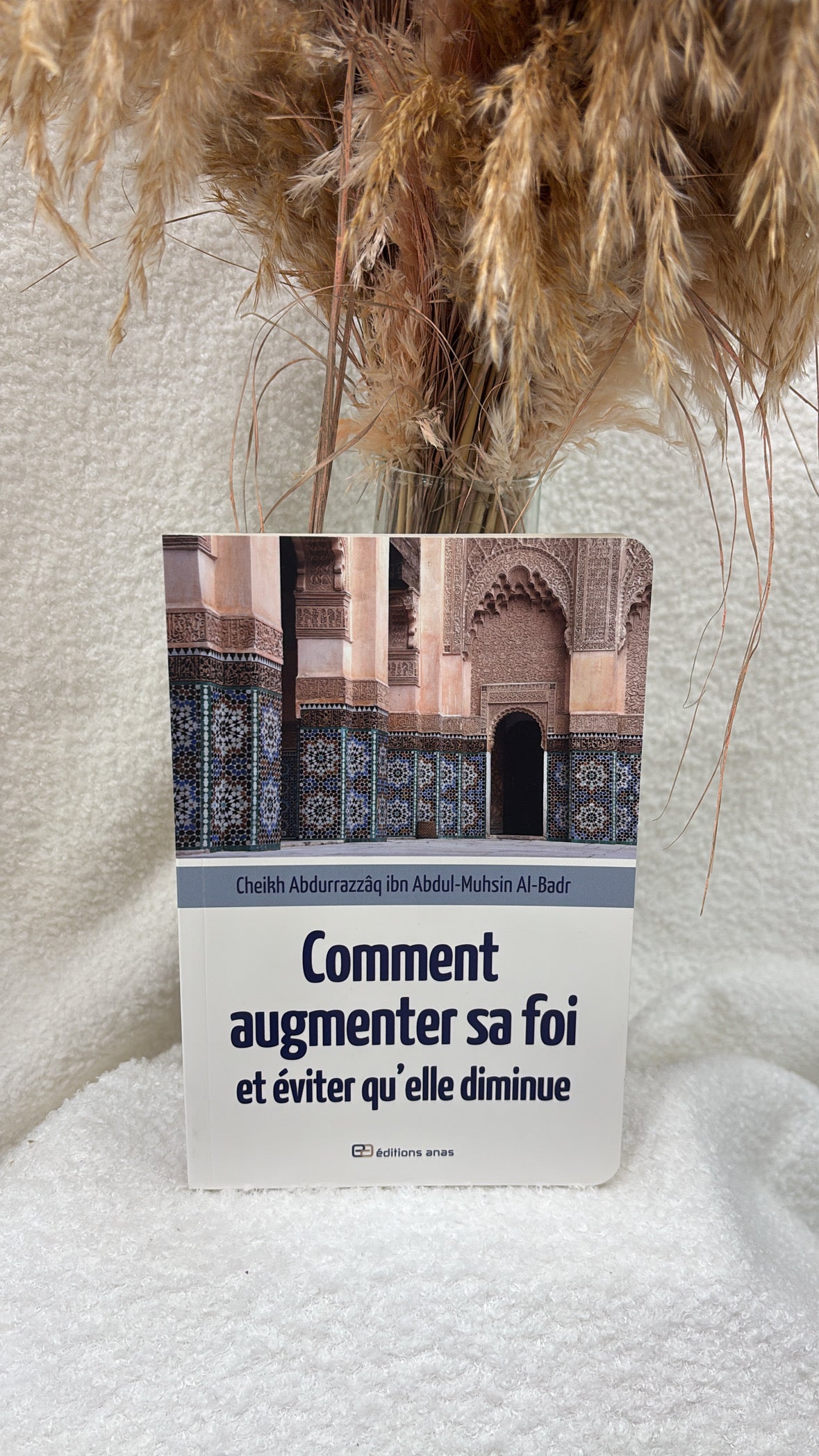 Comment augmenter sa foi et éviter qu'elle diminue - Abd Ar-Razzâq Al-Badr -Editions Anas