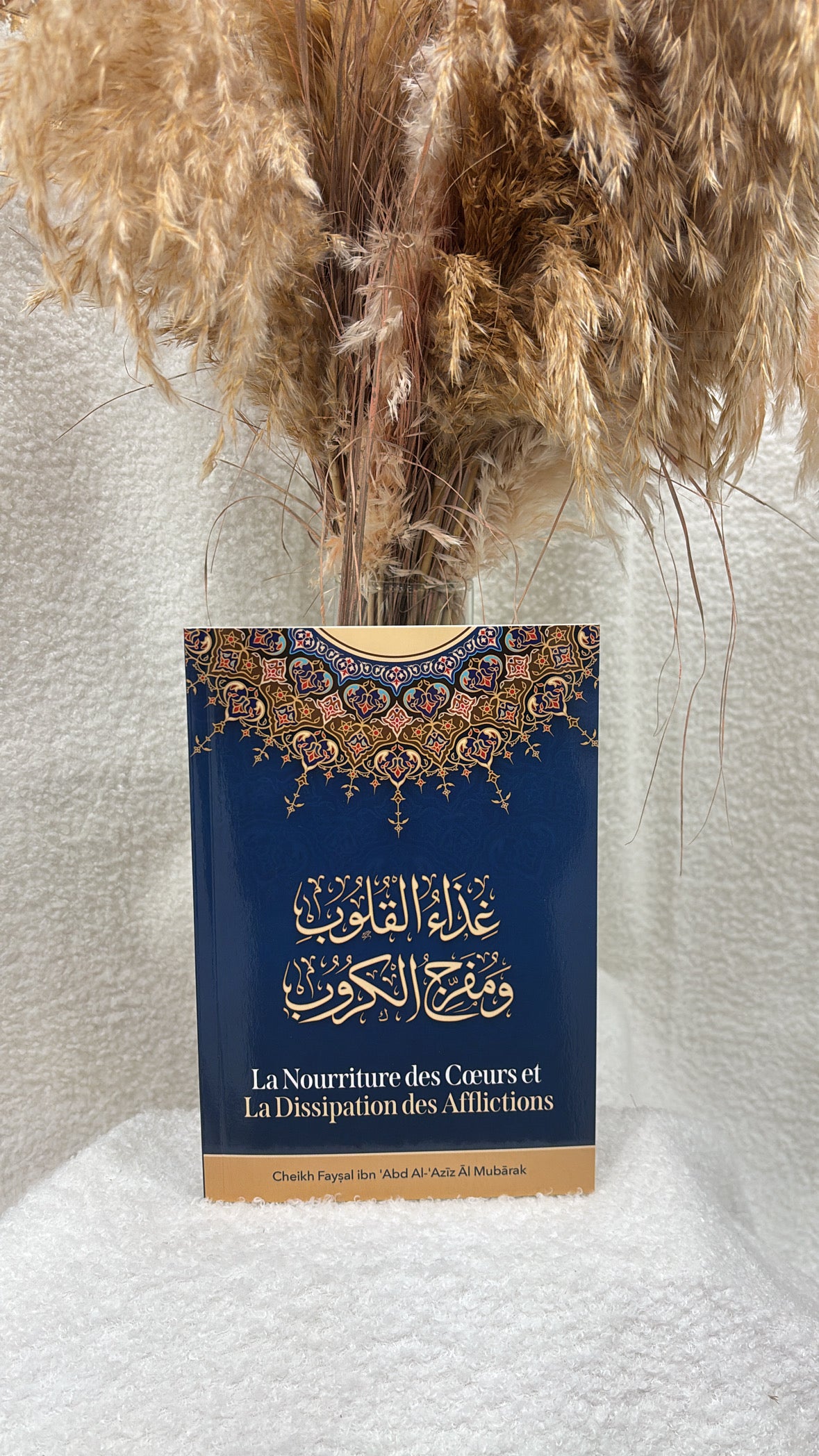 La nourriture des cœurs et la dissipation des afflictions - Cheikh Faysal al Mubārak -Éditions  Ibn Badis