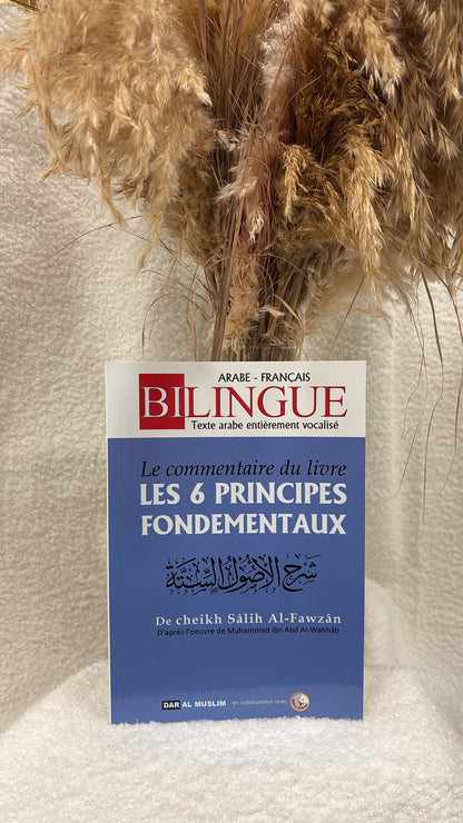 Le Commentaire du livre Les 6 Principes Fondamentaux -Éditions Dar Al Muslim