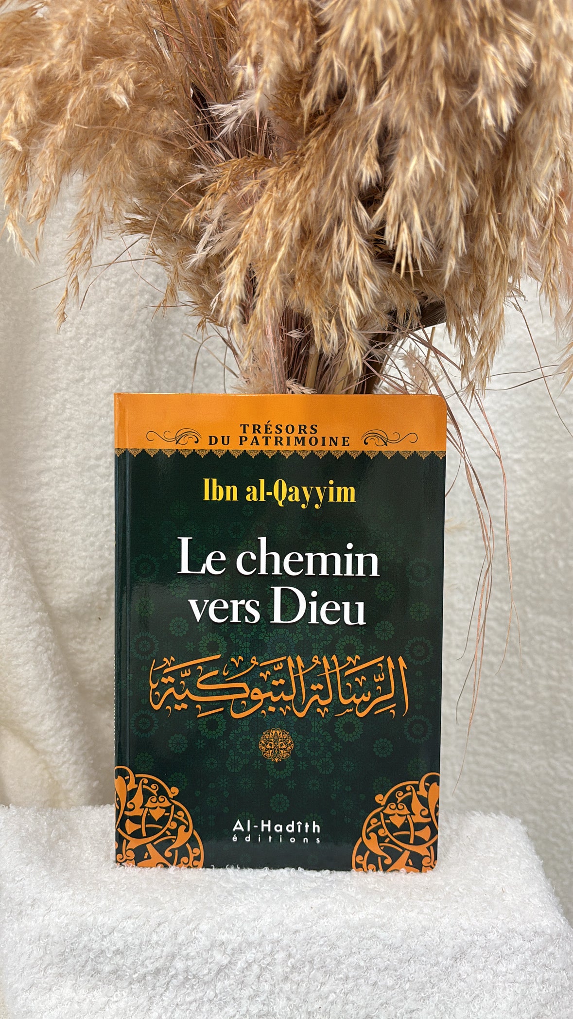 Le chemin vers Dieu - ibn al Qayyim -Éditions al-Hadith