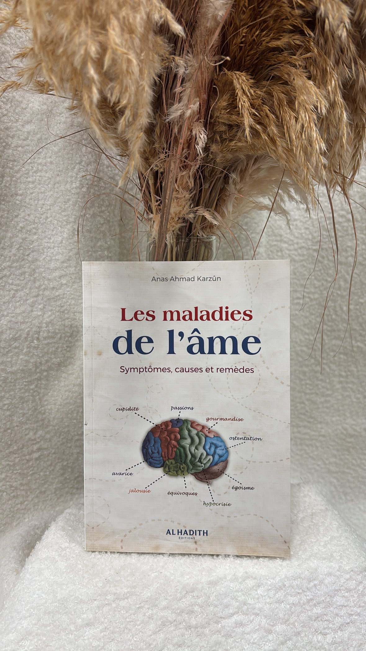 Les maladies de l'âme - Symptômes, causes et remèdes - Anas Karzûn - Al-Hadîth